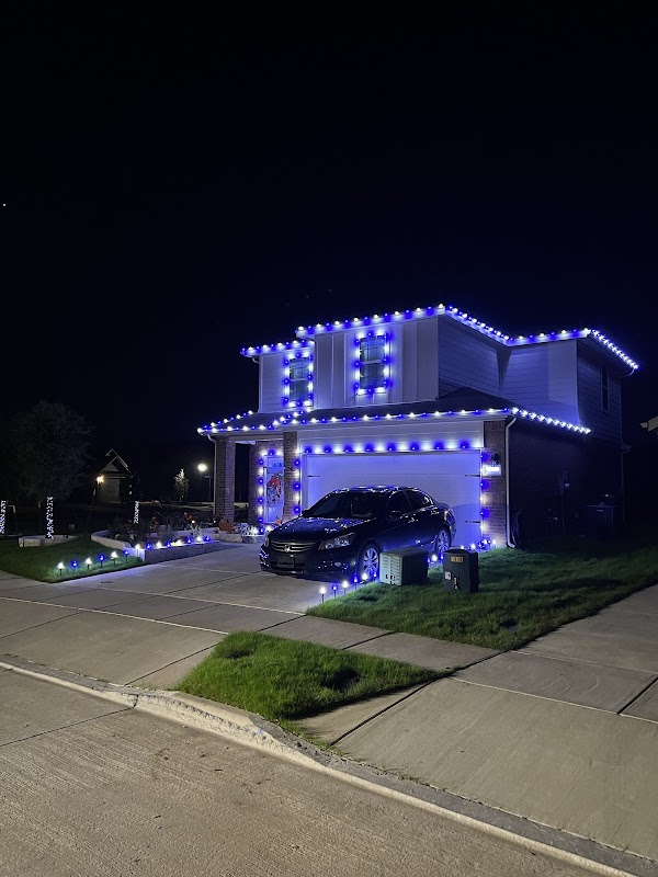 Professional lawn mowing service